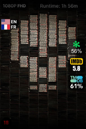 V/H/S