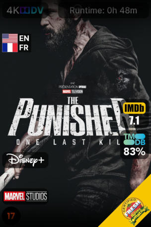 Punisher : One Last Kill