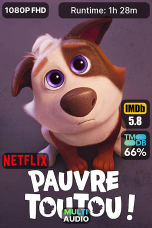 Pauvre Toutou !