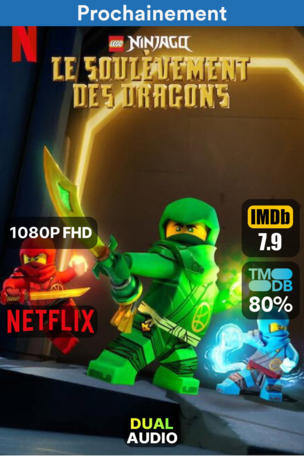 LEGO Ninjago : Le soulèvement des dragons