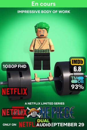 LEGO One Piece