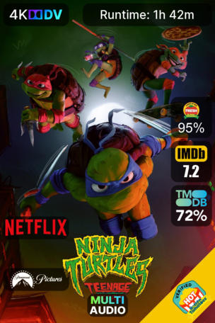 Ninja Turtles : Teenage Years