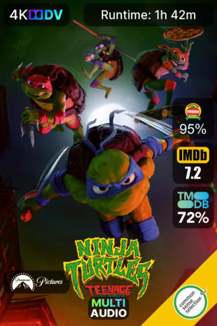 Ninja Turtles : Teenage Years