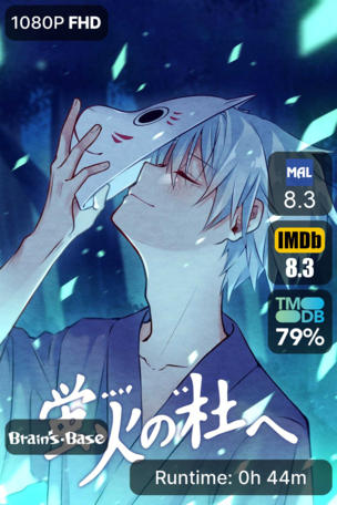 Into the Forest of Fireflies' Light