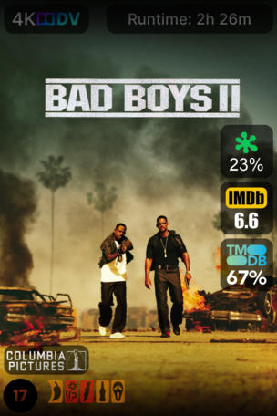 Bad Boys 2