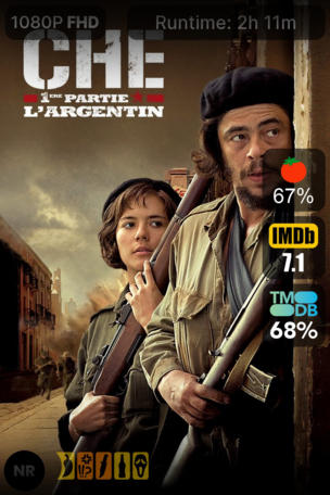 Che, 1re partie : L'Argentin