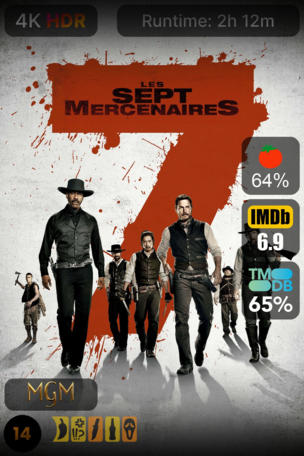 Les Sept Mercenaires