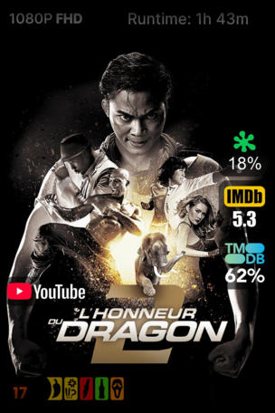 L'Honneur du dragon 2