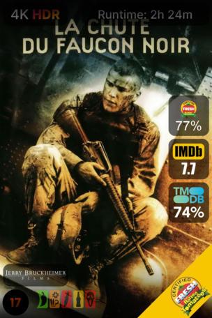La Chute du faucon noir