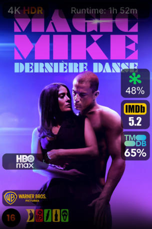 Magic Mike : Dernière Danse