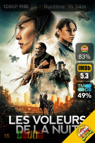 Les Voleurs de la nuit