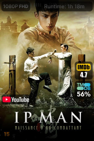 Ip Man : Naissance d'un combattant