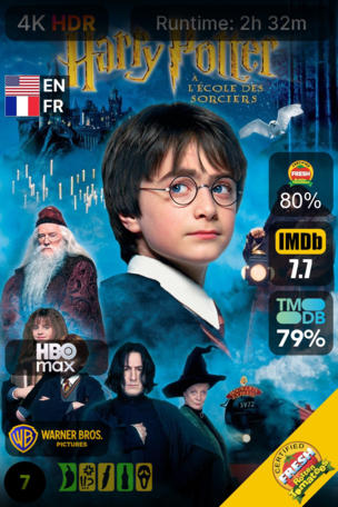 Harry Potter à l'école des sorciers