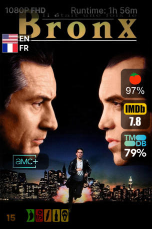 Il était une fois le Bronx