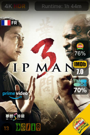 Ip Man 3