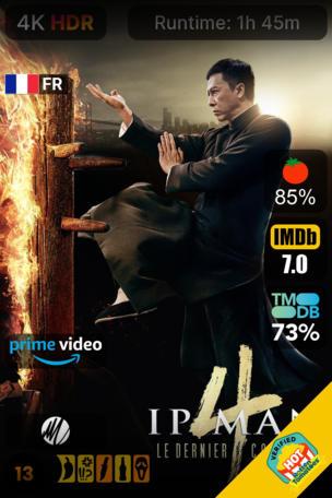 Ip Man 4 : Le Dernier Combat