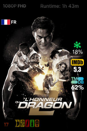 L'Honneur du dragon 2
