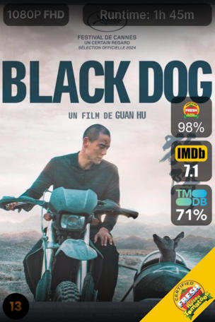 Black Dog