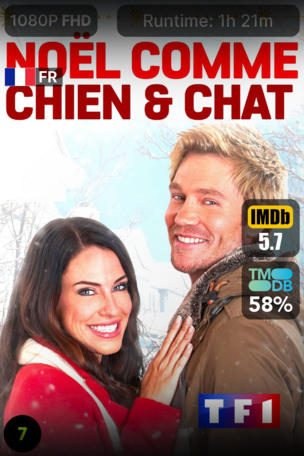 Noël comme chien et chat