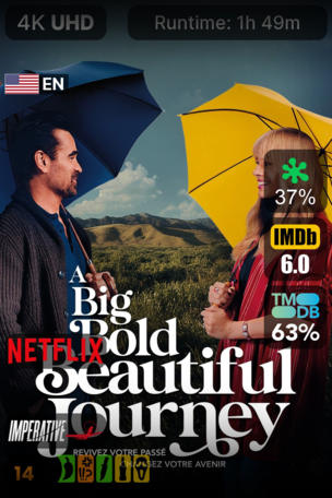 Big Bold Beautiful Journey
