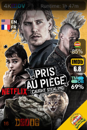 Pris au piège - Caught Stealing