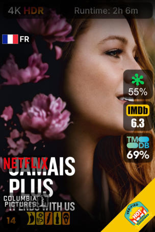 Jamais plus - It Ends with Us
