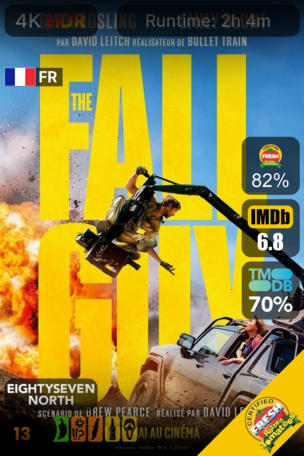 Fall Guy