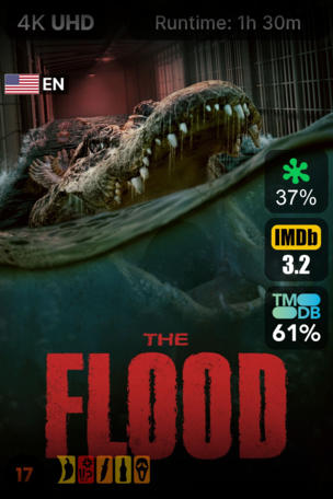 Flood
