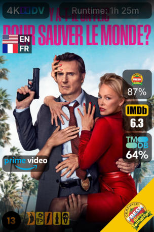 Y a-t-il un flic pour sauver le monde ?