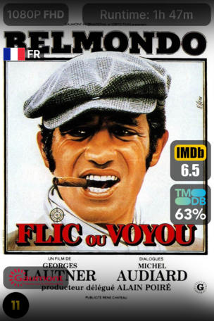 Flic ou Voyou