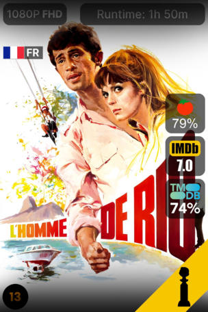 L'Homme de Rio