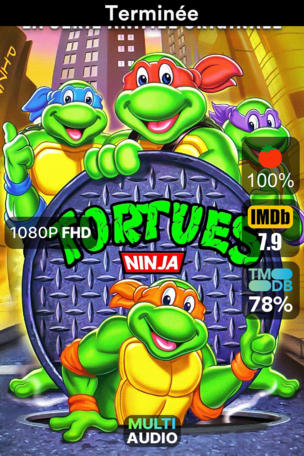 Les Tortues Ninja