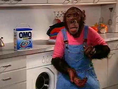 Omo Micro Tutti rikiki maousse costo !